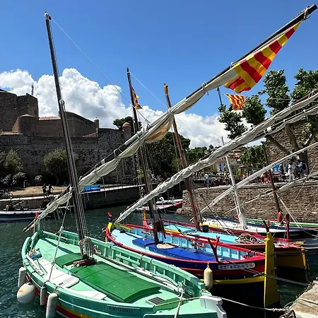 Lumieres A Collioure